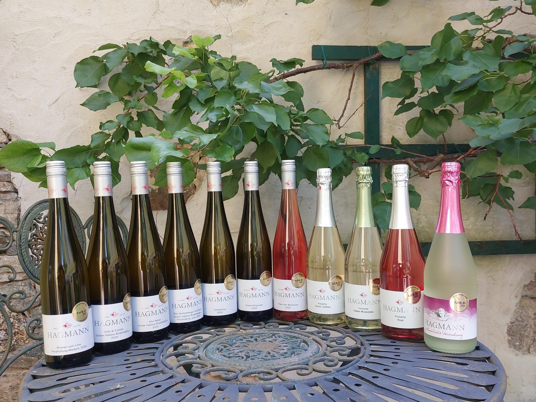 11 Flaschen Wein/Frizannte mit NÖ Gold 2025 ausgezeichnet